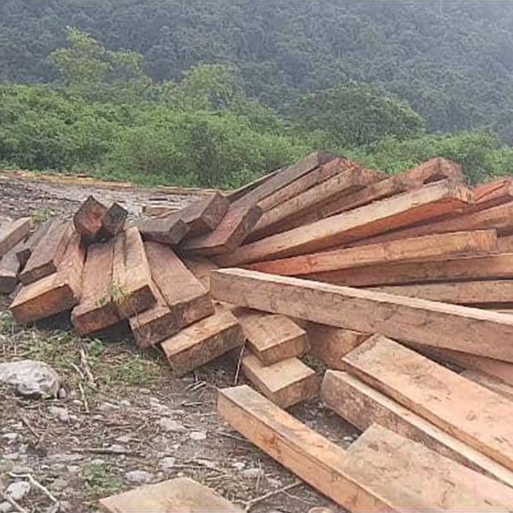Sawn Timber(Different Sizes)